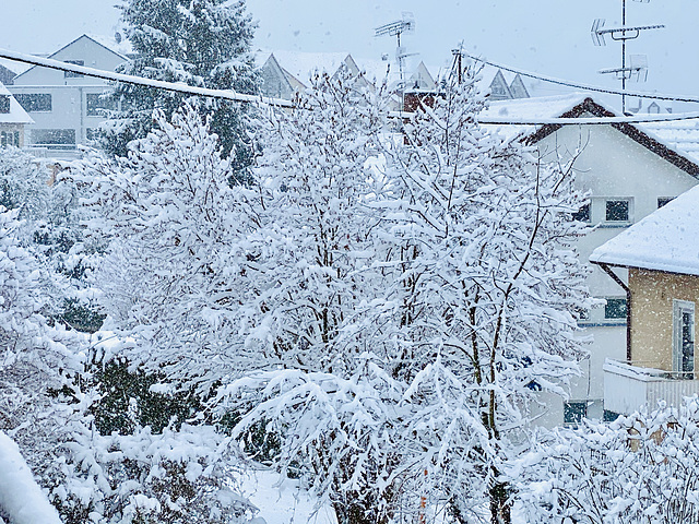 Es schneit den ganzen Tag