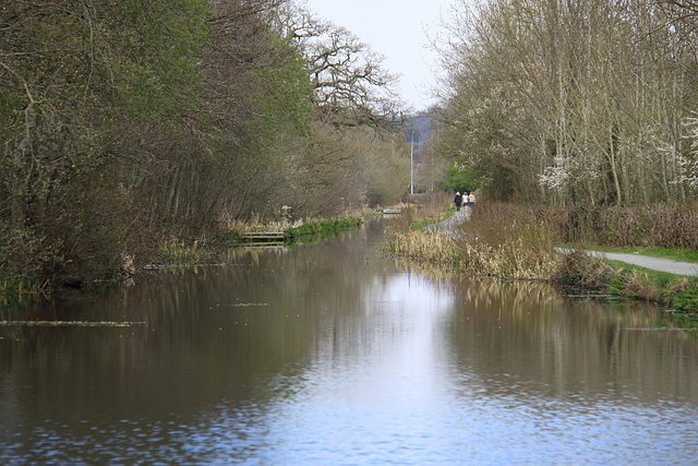 Welshpool Canal