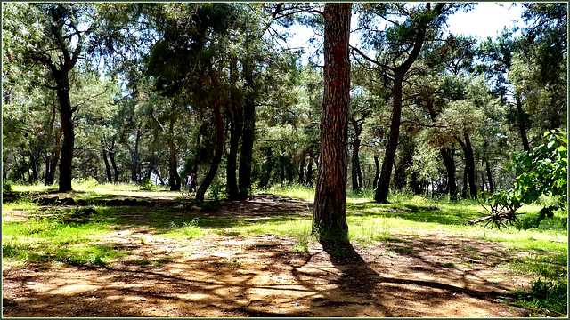 Manavgat : ora visitiamo il parco di Kursunlu Selalesi