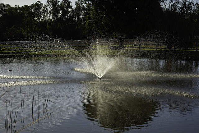 Fountain