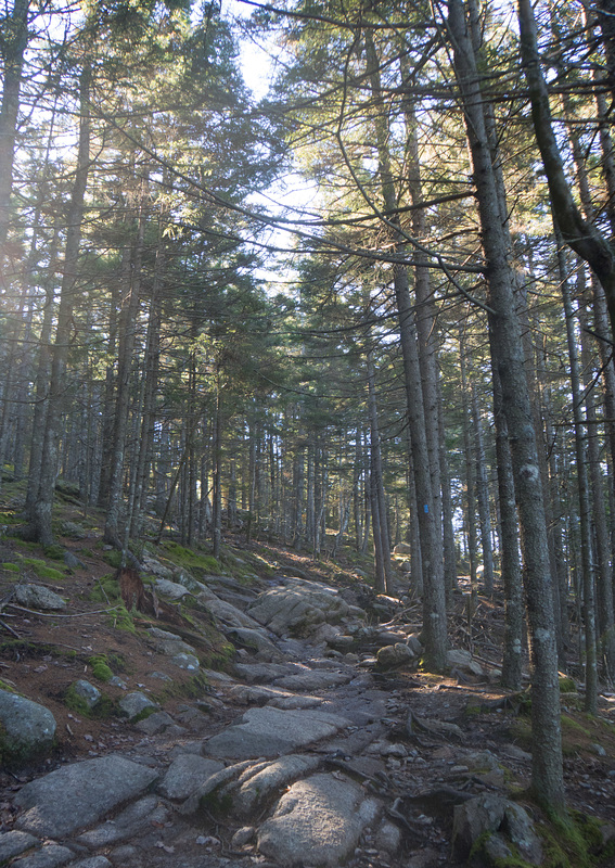 Trail, Acadia