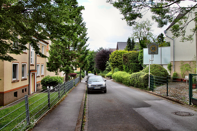 Drostenholzweg (Dortmund-Kirchhörde) / 18.05.2024