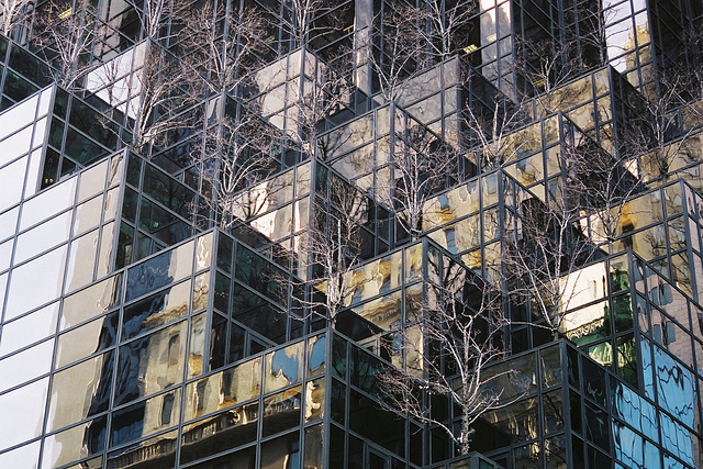 Les terrasses du Trump tower, New-York