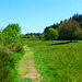 DE - Virneburg - Auf dem Traumpfad Virneburgweg