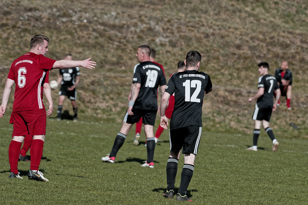 20250412_Voigtsfeld Benne, Fußball, Wildpflanzen