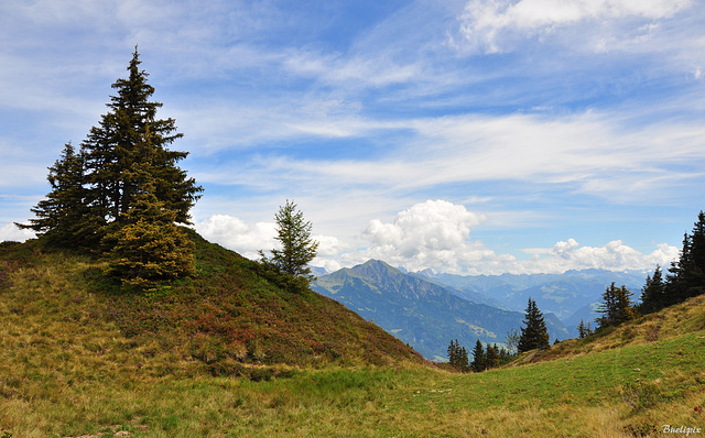 Alp Schwarzbüel (© Buelipix)