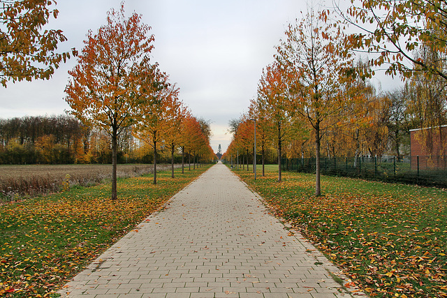 Herbstlicher Weg zur ehem. Zeche Niederberg 1/2/5 (Neukirchen-Vluyn) / 9.11.2018