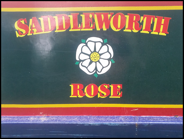 Saddleworth Rose