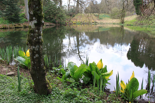 Ornamental lake