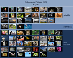 Ambassador Pictures 2023, August