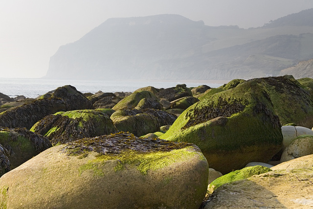 Golden Boulders and Golden Cap