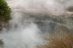 Neuseeland - Rotorua - Whakarewarewa