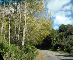 Quiet Country Road.