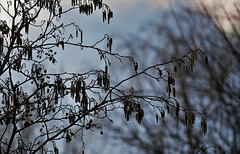 Hanging Around