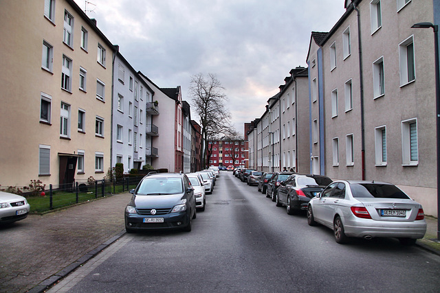 Grabbestraße (Gelsenkirchen-Horst) / 2.03.2024