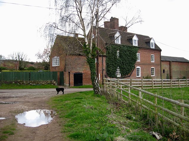 Boebridge Grange and its wild labrador