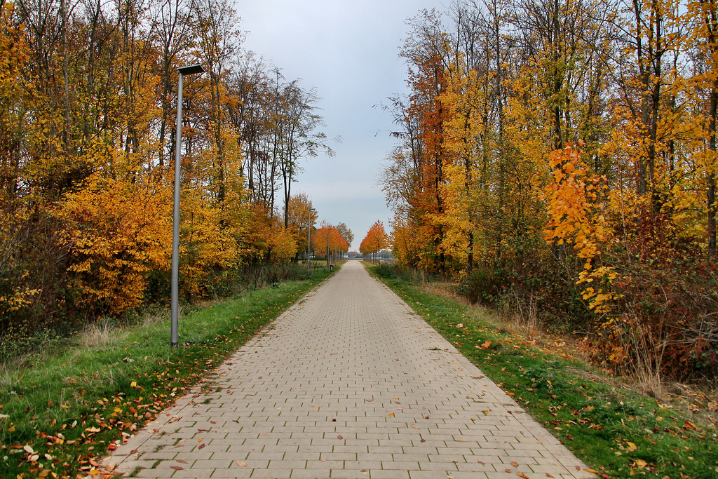 Neukirchen-Vluyn / 9.11.2018