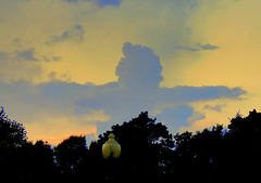 A giant bird in the sky.