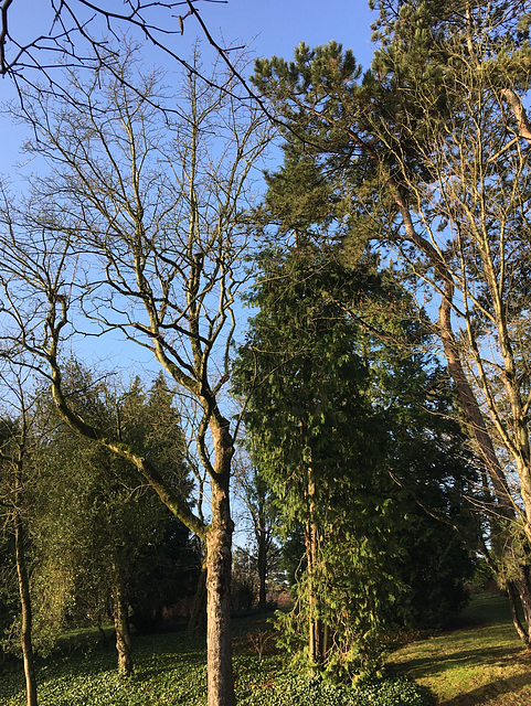 Parc de Cointe à Liège