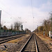 Die Köln-Mindener Eisenbahn bei Kurl (Dortmund) / 12.03.2022