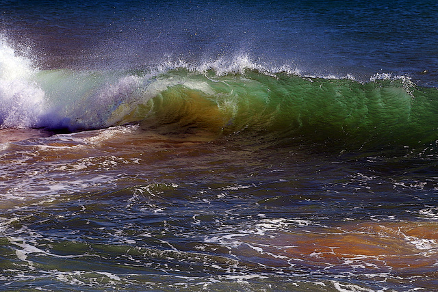 La mer appartient à ceux qui l'aiment .