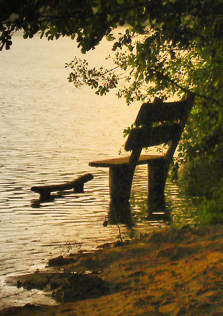 Bank im See, gut für Angler