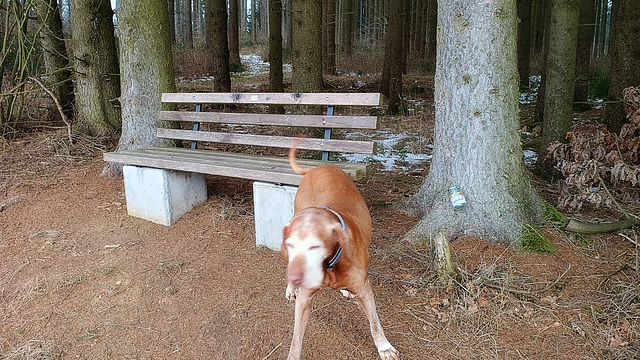 Finde den Fehler ;-)