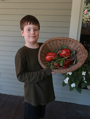 Harvest Harvest