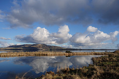 February sunlight on Loch Leven