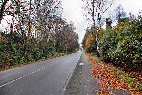 Westfälische Straße (Kamen-Heeren-Werve) / 25.11.2017