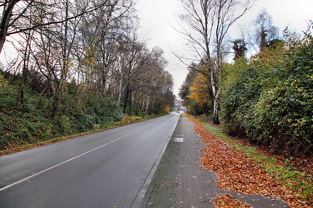 Westfälische Straße (Kamen-Heeren-Werve) / 25.11.2017