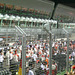 Singapore F1 Grand Prix 2008