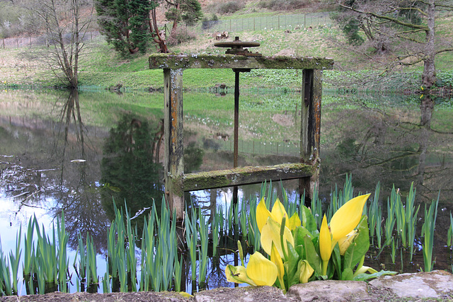 Ornamental lake