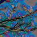 DSCF4554 1 DxO