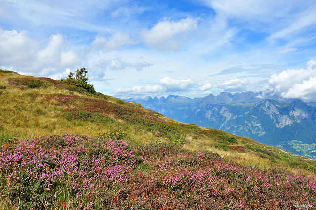 Obersäss (© Buelipix)