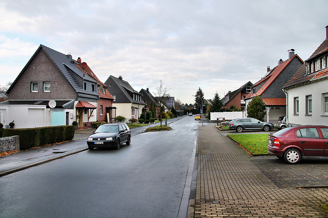 Südfeld (Kamen-Heeren-Werve) / 25.11.2017