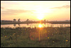 sundown in the water meadow