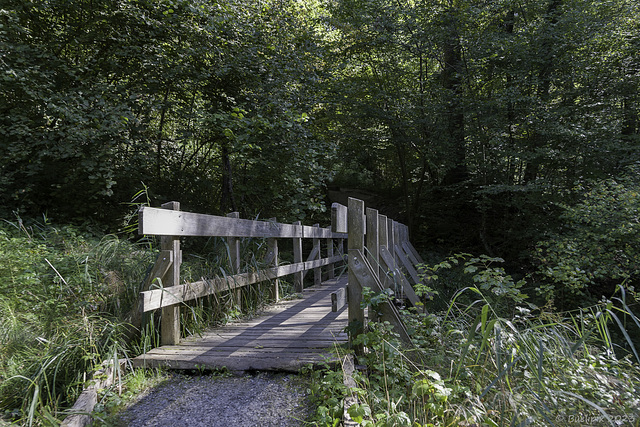 oberhalb des Stöckentobels (© Buelipix)