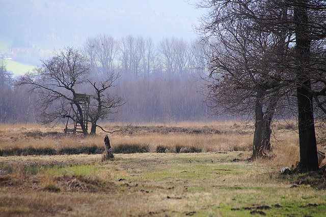 Großes Torfmoor