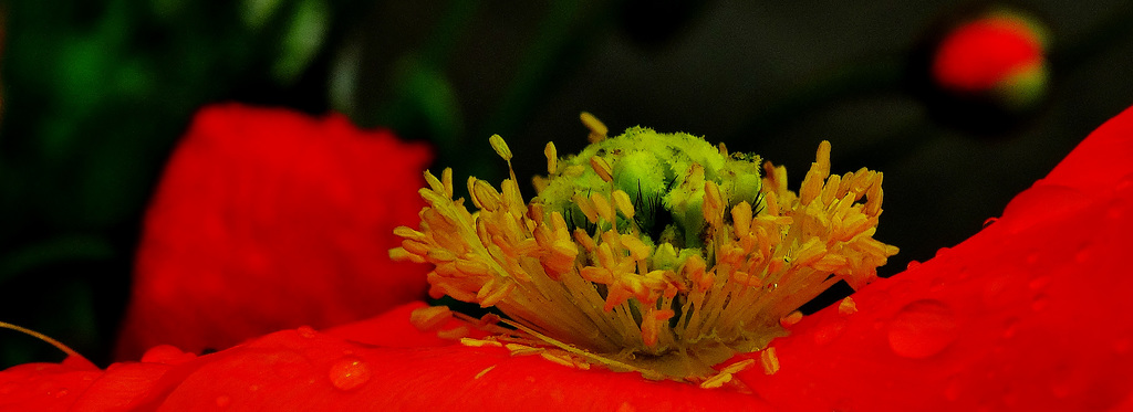 DSC01502