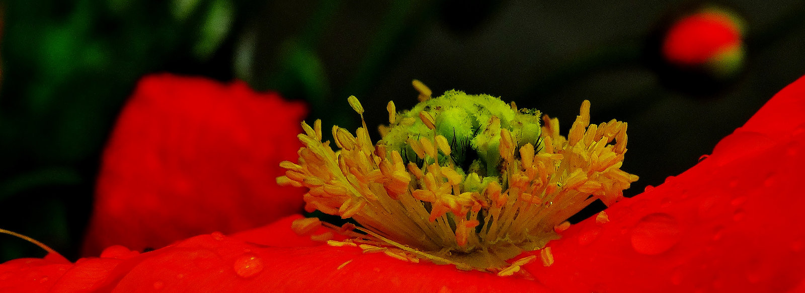 DSC01502