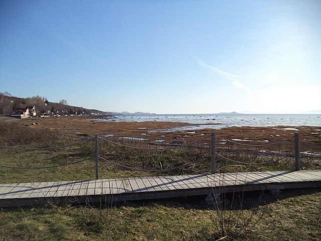 Passerelle et air salin / Foot bridge and salted air.