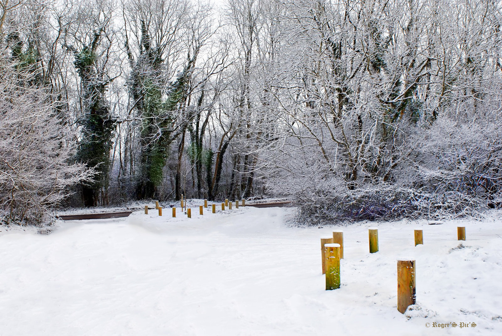 A Quantock Winter,