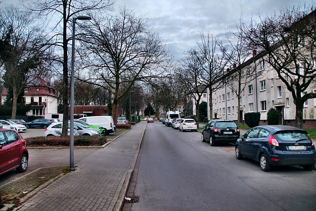 Alldieckstraße (Gelsenkirchen-Horst) / 2.03.2024