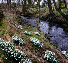 Signs of Spring.