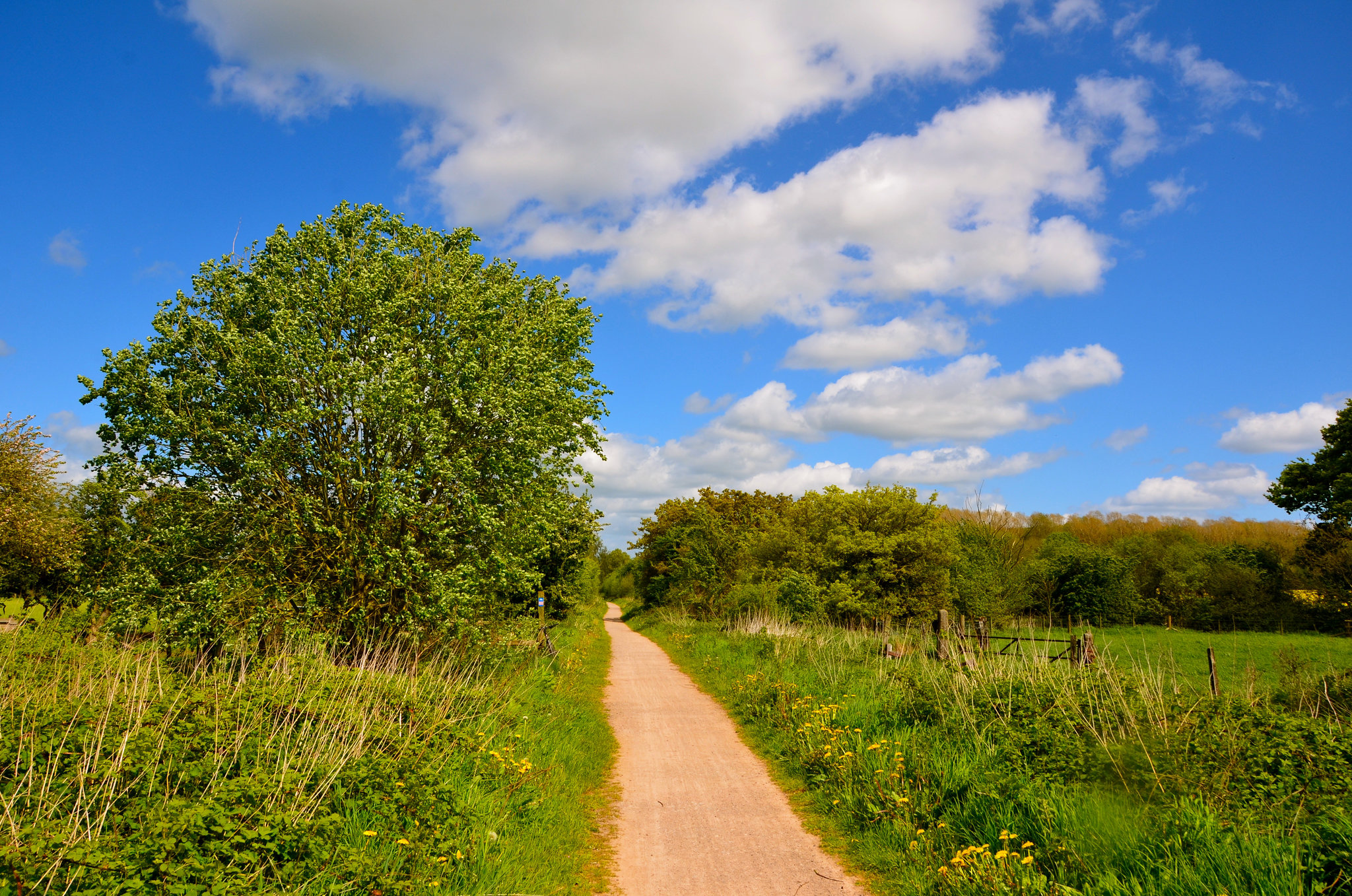 Disused railway between Haughton and Gnosall