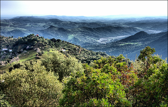 Gaucín