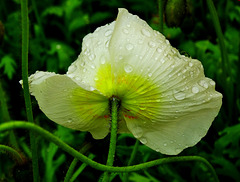 DSC01503