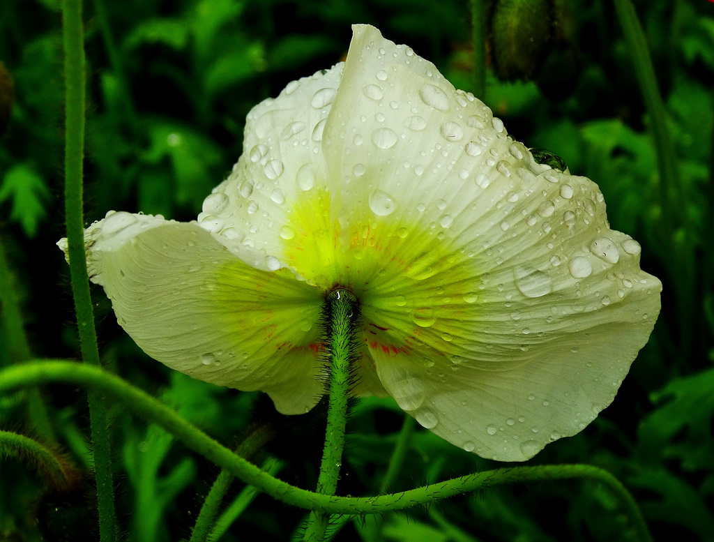 DSC01503