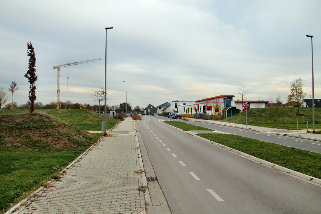 Dicksche Heide (Neukirchen-Vluyn) / 9.11.2018